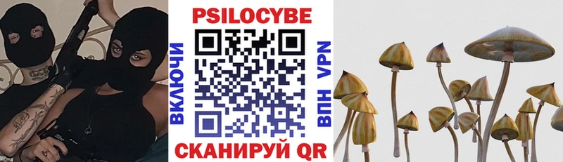 где продают   Иркутск  Галлюциногенные грибы Psilocybe 
